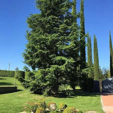Il Cedro レッジェッロ
