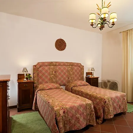 Il Cedro