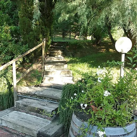 Il Cedro *